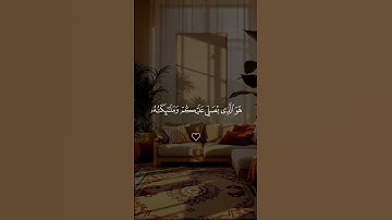 قناة القرآن الكريم – تلاوة خاشعة"Quran Kareem"نور. هداية. رحمة. حق #المصحف #راحة_نفسية #الرحمن #لايك