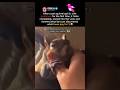 This squirrel just experienced heaven for the first time 😭 #viral