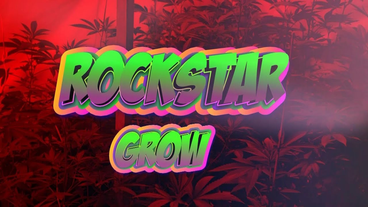ROCKSTAR Grow!! - Part of "How To GROW WEED" series.
