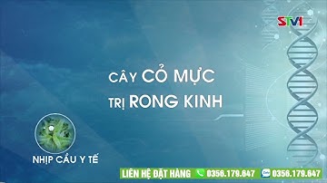 Cây Cỏ Mực Trị Rong Kinh - 0356.179.647 | Thảo Dược TV