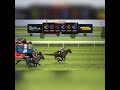 corrida fail