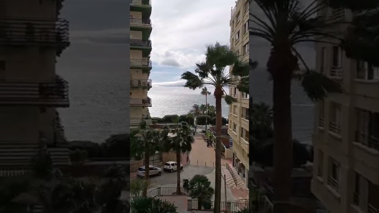 Windy MARBELLA, Spain palmeras en viento 21 noviembre 2022