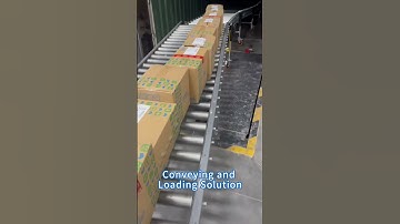Logistics Parcels in Cartons Conveying and Loading Solution with Powered Roller Conveyor