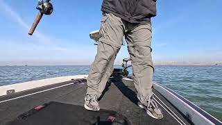 Getting boring! Nonstop catching. California Delta Striper/Striped Bass Fishing!