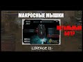 Макросная мышка | Легальный бот в Lineage 2? Разбираем легитимность и эффективность -  Homunculus