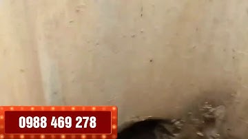 Thông tắc cống quận Hà Đông