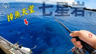 驚人的生態掉魚天堂七星岩被電到生無可戀#鵝大人 #釣魚 #七星岩