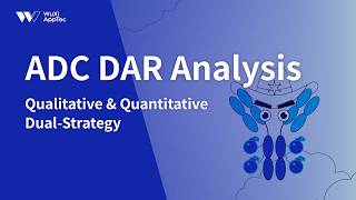 ADC DAR Analysis: Qualitative & Quantitative Dual-Strategy for In Vivo Profiling丨DMPK Frontiers