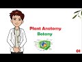 Botany - 01- Plant anatomy ( cell wall - plasmodesmata ) | شرح مادة البوتاني للكليات الطبية