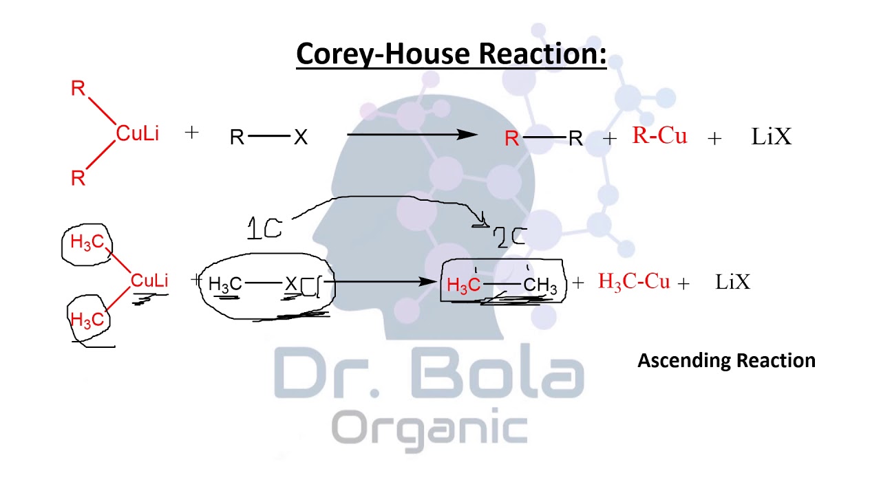 From Alkylhalides to Alkanes (Corey House and Grignard) in ENGLISH