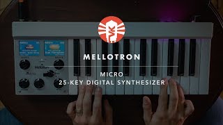 Mellotron Micro | Synthesizer | Vintage King chords