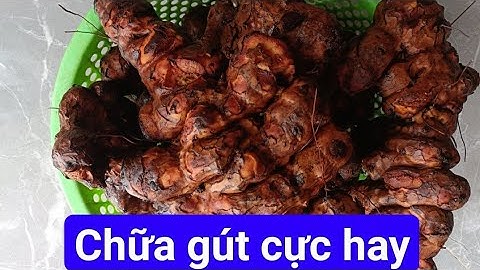 Công dụng chữa bệnh cực hay của củ khúc khắc: chữa gút, mát gan, giải độc cơ thể. Đt Zalo 0388984410
