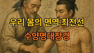 수양명대장경:불안감, 우울감, 초조함을 막는, 우리 몸의 면역 최전선,생명의 통로!