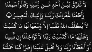 حالات واتس قران بصوت الشيخ مشاري العفاسي ?امن الرسول نما انزل اليه من ربه لاتنسوا الاشتراك في قناة