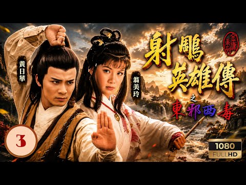 TVB武俠劇線上看 | 射鵰英雄傳之東邪西毒 03/20 | 劉丹(洪七公)身中劇毒，黃日華(郭靖)在石洞臨危學掌法 | 黃日華 | 翁美玲 | 苗僑偉 | 楊盼盼 |粵語中字|1983