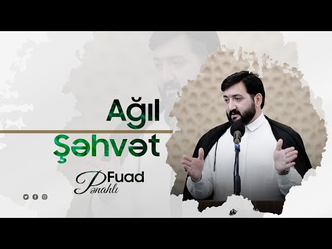 Fuad Pənahlı - \