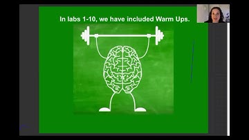 Court Interpreter Sight Translation Program