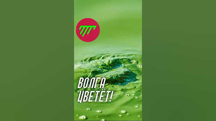 ВОЛГУ НУЖНО СПАСАТЬ  ЭТО КАТАСТРОФА