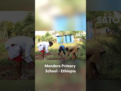 ቪዲዮ: አስትሮይድ አፖፊስ ምድርን ይመታል?