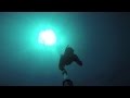 Spearfishing Gold Coast and Tweed Coast antics