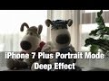 iPhone 7 Plus делает отличные портретные фото.