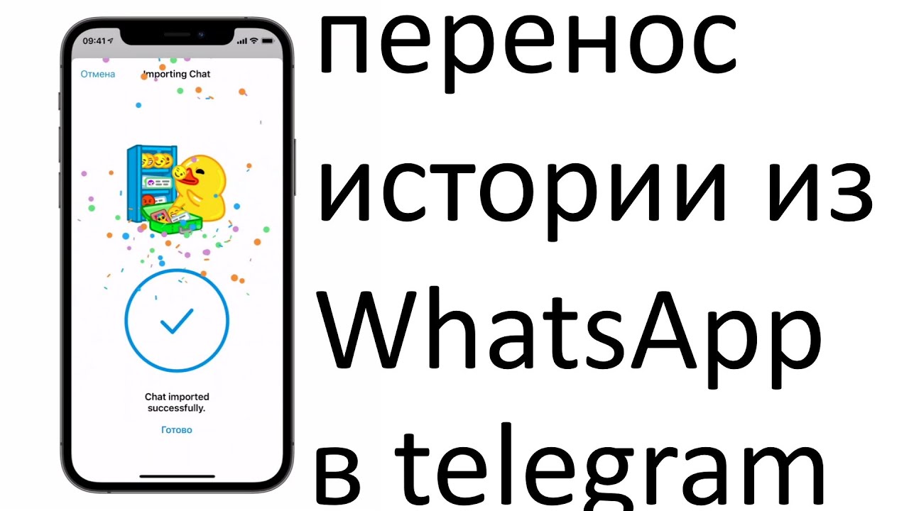 Перенос чата из WHATSAPP В Telegram. Перенос истории whatsapp