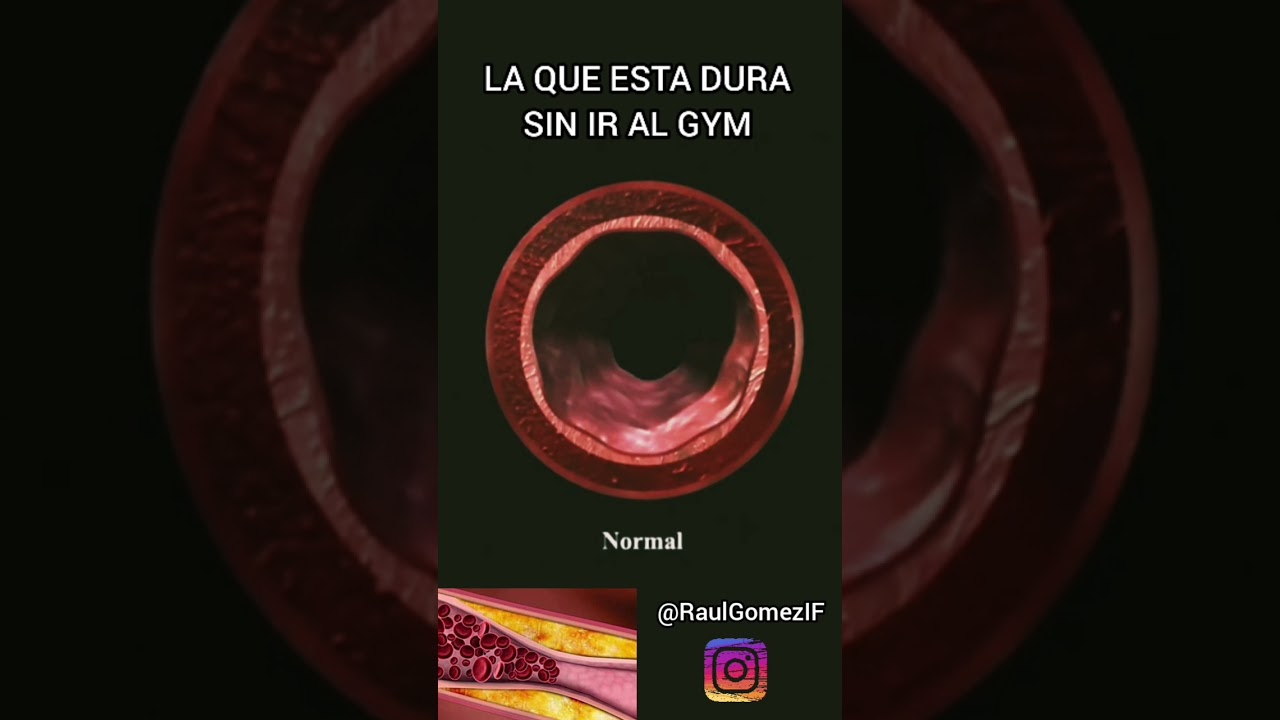 Letra Tu Estas Dura Sin Ir Al Gym www.youtube.com