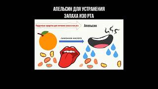 Апельсин для устранения запаха изо рта #апельсин #запахизорта #галитоз #цитрусы