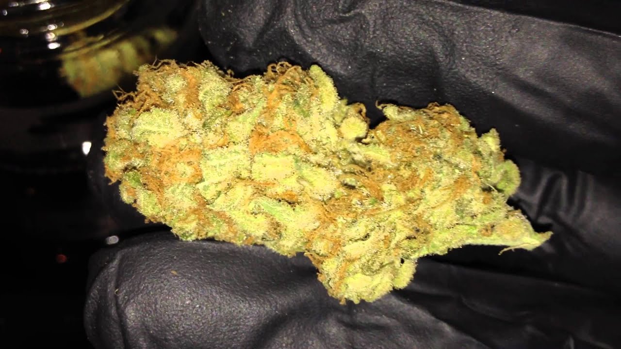 White Widow, AK47, Peanut Butter, Space Bomb Final Harvest Video 8000 Watts