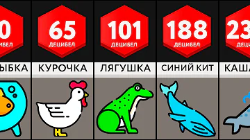 Сравнение: Громкие Животные