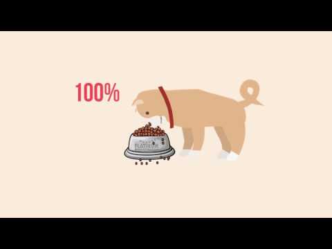 Video: Primer Hranjenja Vašega Ljubljenčka Z Mokro Hrano Za Hišne Ljubljenčke