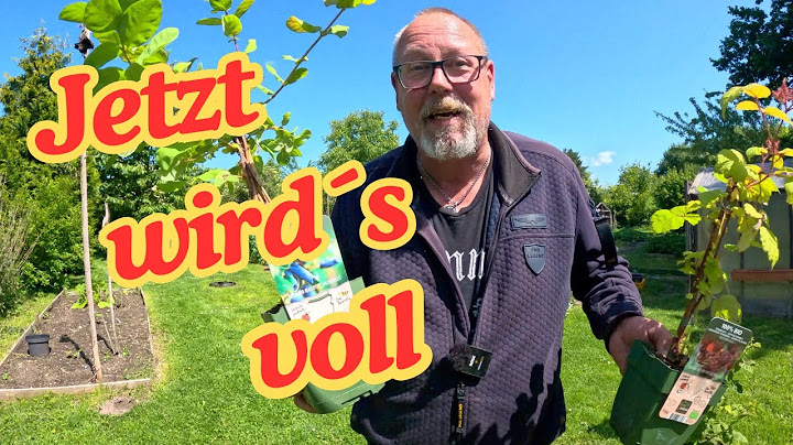 Dicht an dicht - jetzt wird es voll im Garten - wo gibt es noch Lücken für die letzten Pflanzen?