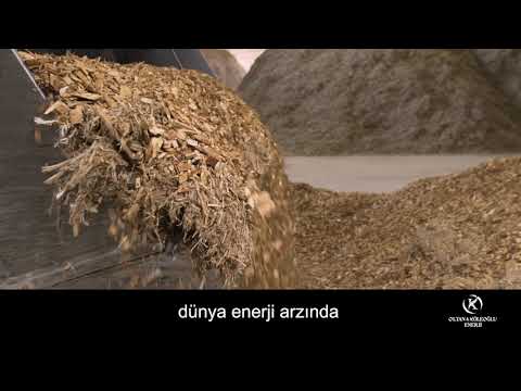 DUNYA BİYOKÜTLE ENERJİ ARZI