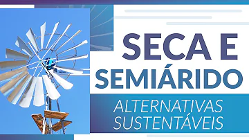 Qual a principal característica do clima semiárido?
