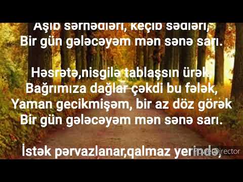 Video: Niyə ataya bənzər kişiləri seçirik