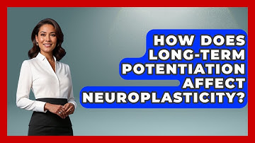 How Does Long-term Potentiation Affect Neuroplasticity? - Brain Development Hub