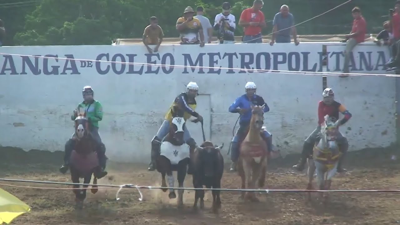 Freddy Borrego, Yonny Morillo, Saúl Arteaga y Maximo Novoa (TURNO 9 DE LA ENCERRONA ENTRE PANAS)