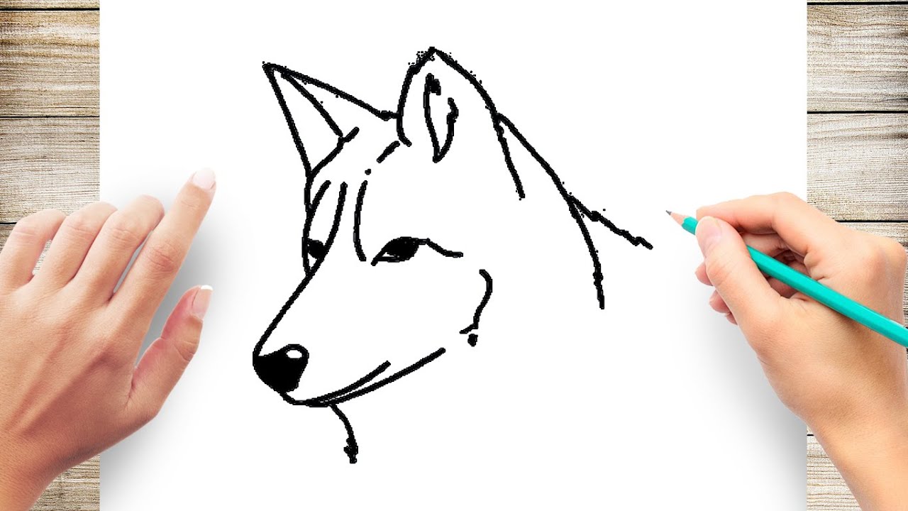 How To Draw A Wolf Head Step By Step Youtube