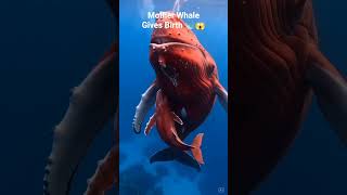 Crimson Whale Gives Birth Underwater 🐋😱 | Rare Ocean Miracle