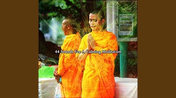 A Wealth Of Intellect