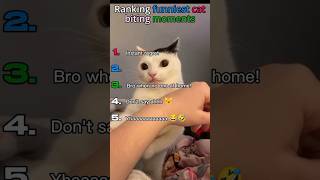 Ranking the Funniest Cat Biting Moments 😂🐱 (Part 1)