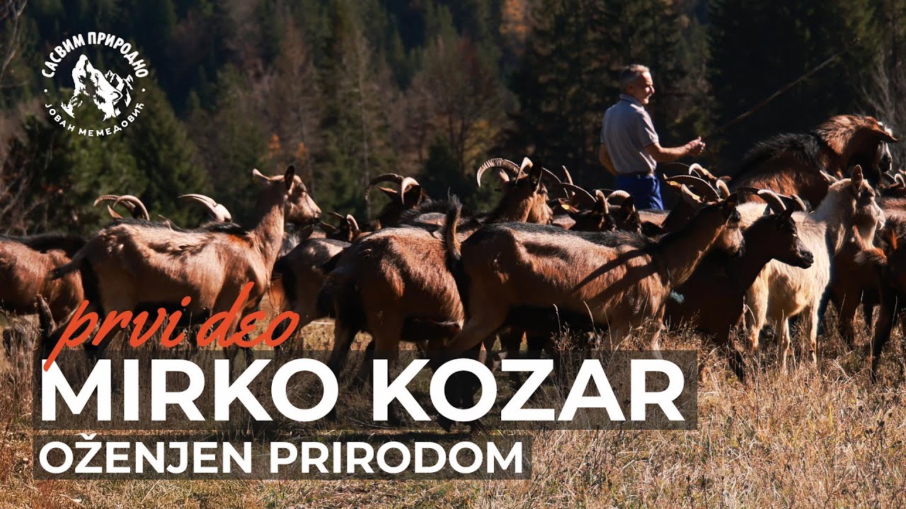 SASVIM PRIRODNO: Mirko kozar 1. deo