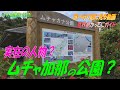 【喜界島】シマ唄に登場する「ムチャ加那」の公園