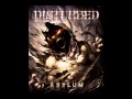 Disturbed: The Animal - [ASYLUM 2010]