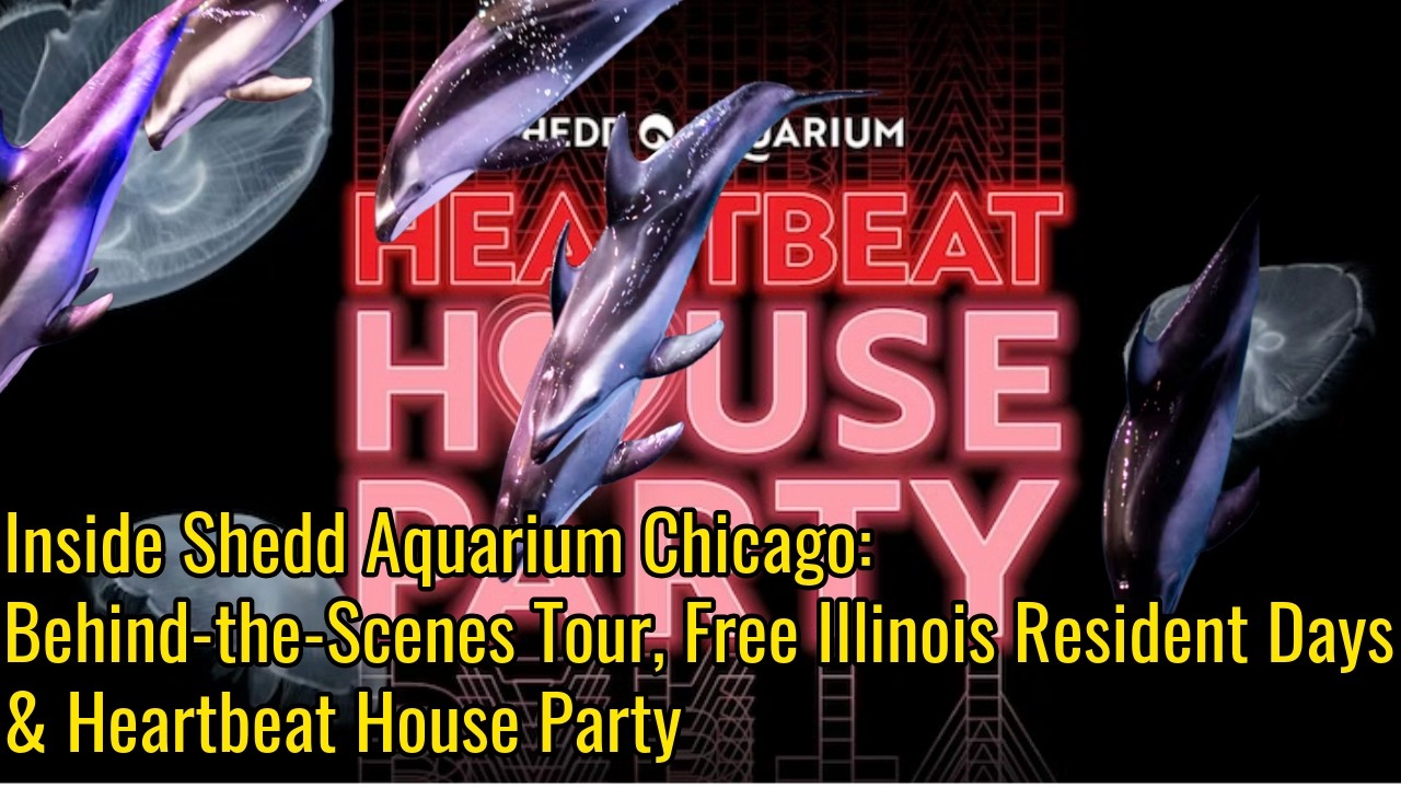 Экскурсия за кулисы аквариума Шедда, бесплатные дни для жителей Иллинойса и вечеринка Heartbeat H...