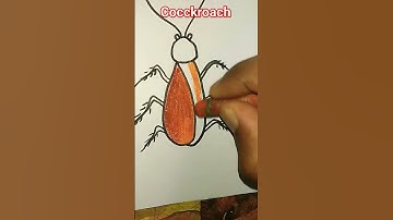 #cockroach#drawing and color#youtube shorts#viral video#