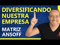 DIVERSIFICACIÓN DE NUESTRA EMPRESA:  😊 ANSOFF Matriz Ejemplos #5