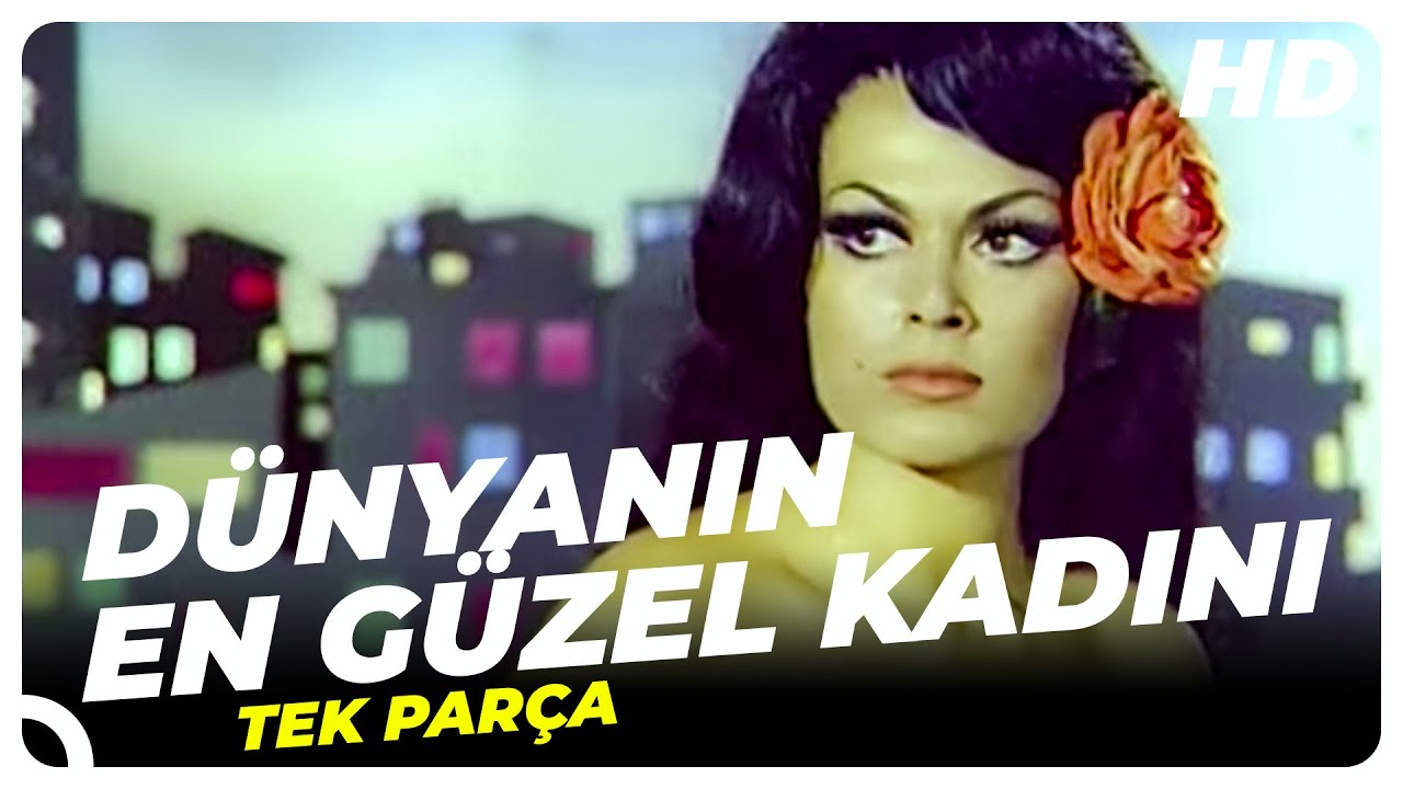 penisin vajinaya girişi