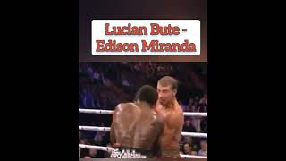 Lucian Bute -Edison Miranda #Shorts
