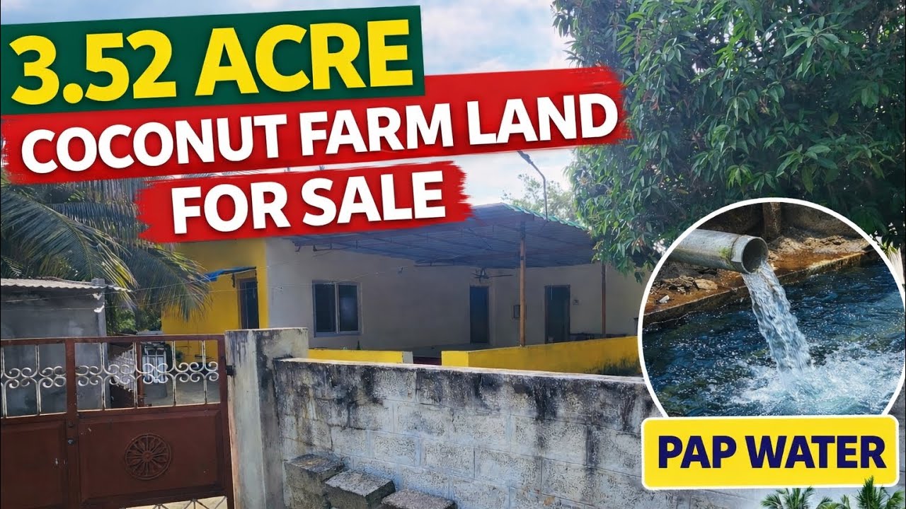 3.52 Acre Coconut Farm Land for Sale in Kinathukadavu | 3BHK Farm House | PAP Water | Cent @1.35 L